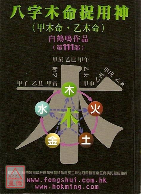 八字乙木|【八字 乙木】乙木命理大揭秘！剖析「八字乙木」的獨特性格、。